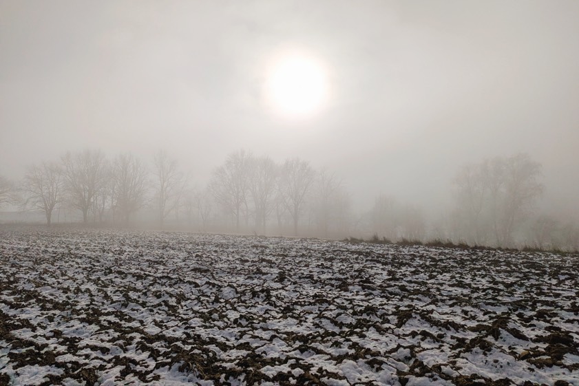 Foto: Holger Cammerer