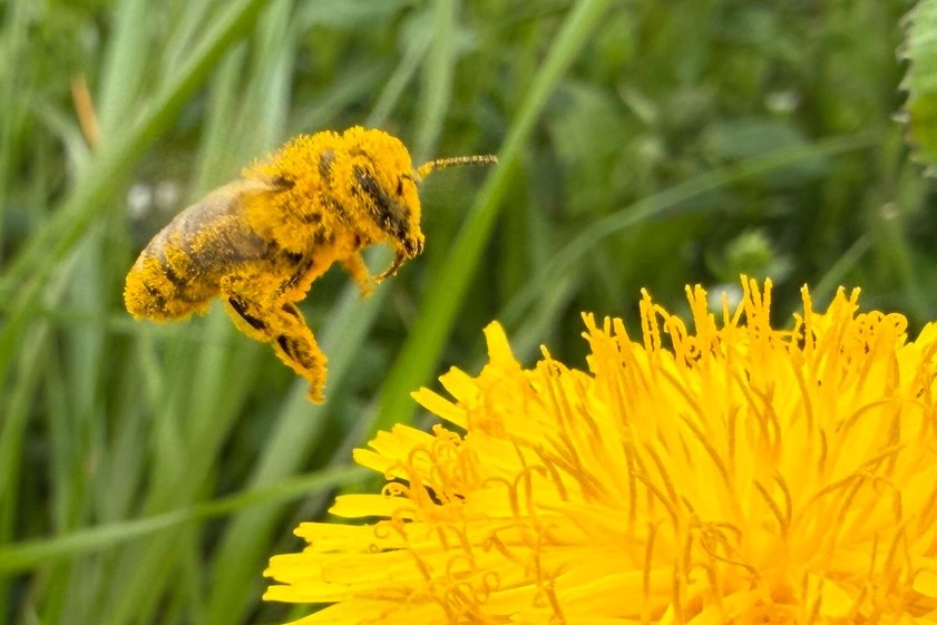 Foto: Ludwig Schrätzenstaller