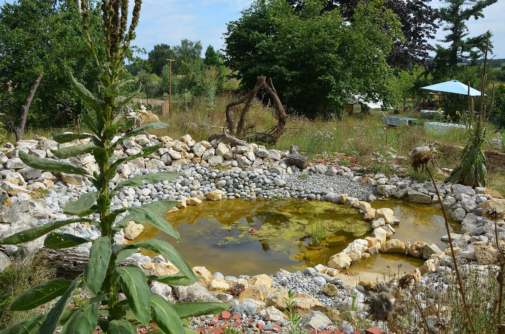 Das Drei Zonen Paradies Fur Pflanzen Und Tiere Bei Pornbach